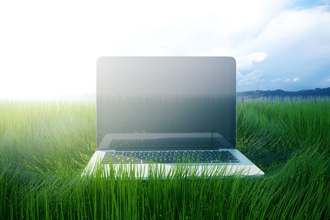Sustainability Image
